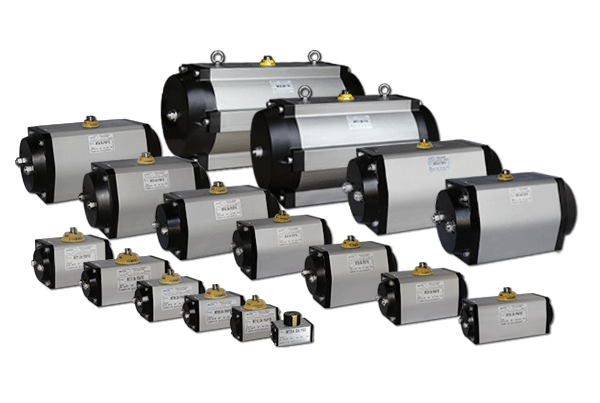 maxair Pneumatic Actuator